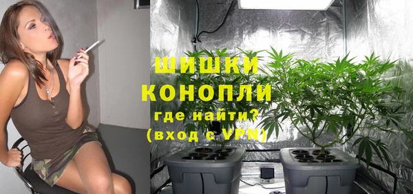 ECSTASY Медногорск