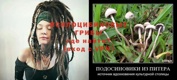 apvp Медвежьегорск