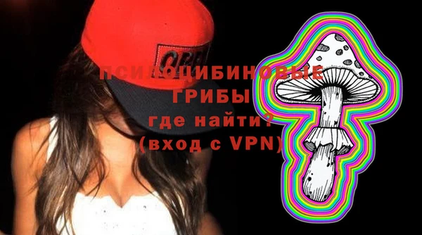 apvp Медвежьегорск
