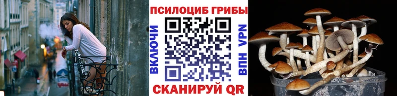 Галлюциногенные грибы прущие грибы  купить наркотик  Норильск 