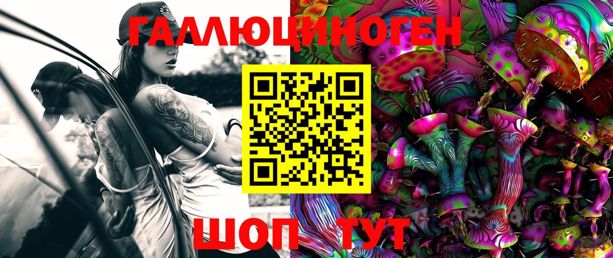 Псилоцибиновые грибы Psilocybine cubensis  Галлюциногенные грибы ЛСД  Норильск 