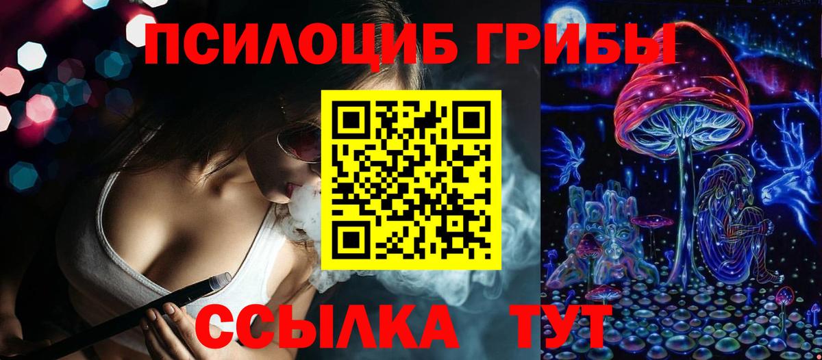 Галлюциногенные грибы Psilocybe Норильск