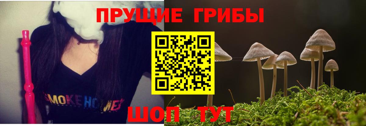 Галлюциногенные грибы Magic Shrooms  Вход с VPN  Норильск 
